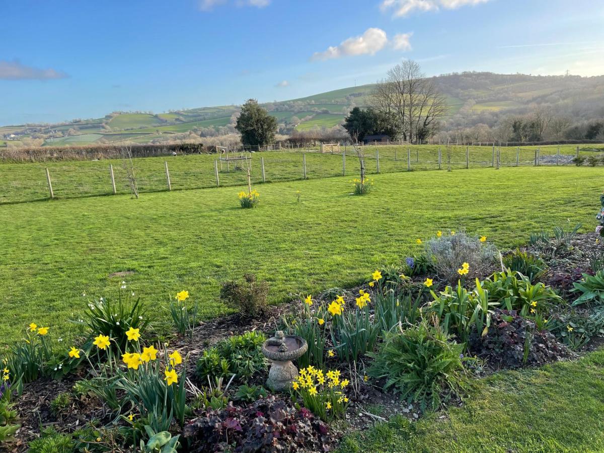 Westerley Country B & B With Exclusive Guest Lounge Buckfastleigh Exterior foto