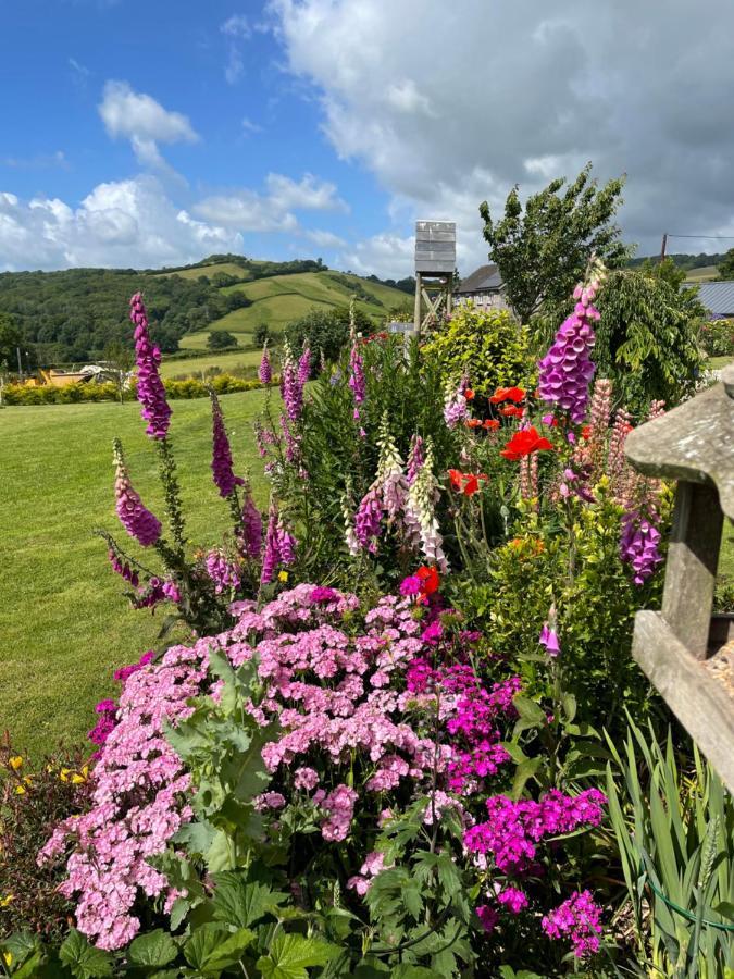 Westerley Country B & B With Exclusive Guest Lounge Buckfastleigh Exterior foto