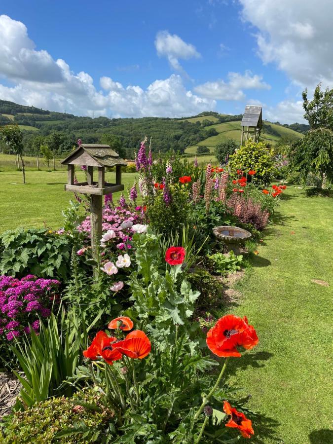 Westerley Country B & B With Exclusive Guest Lounge Buckfastleigh Exterior foto